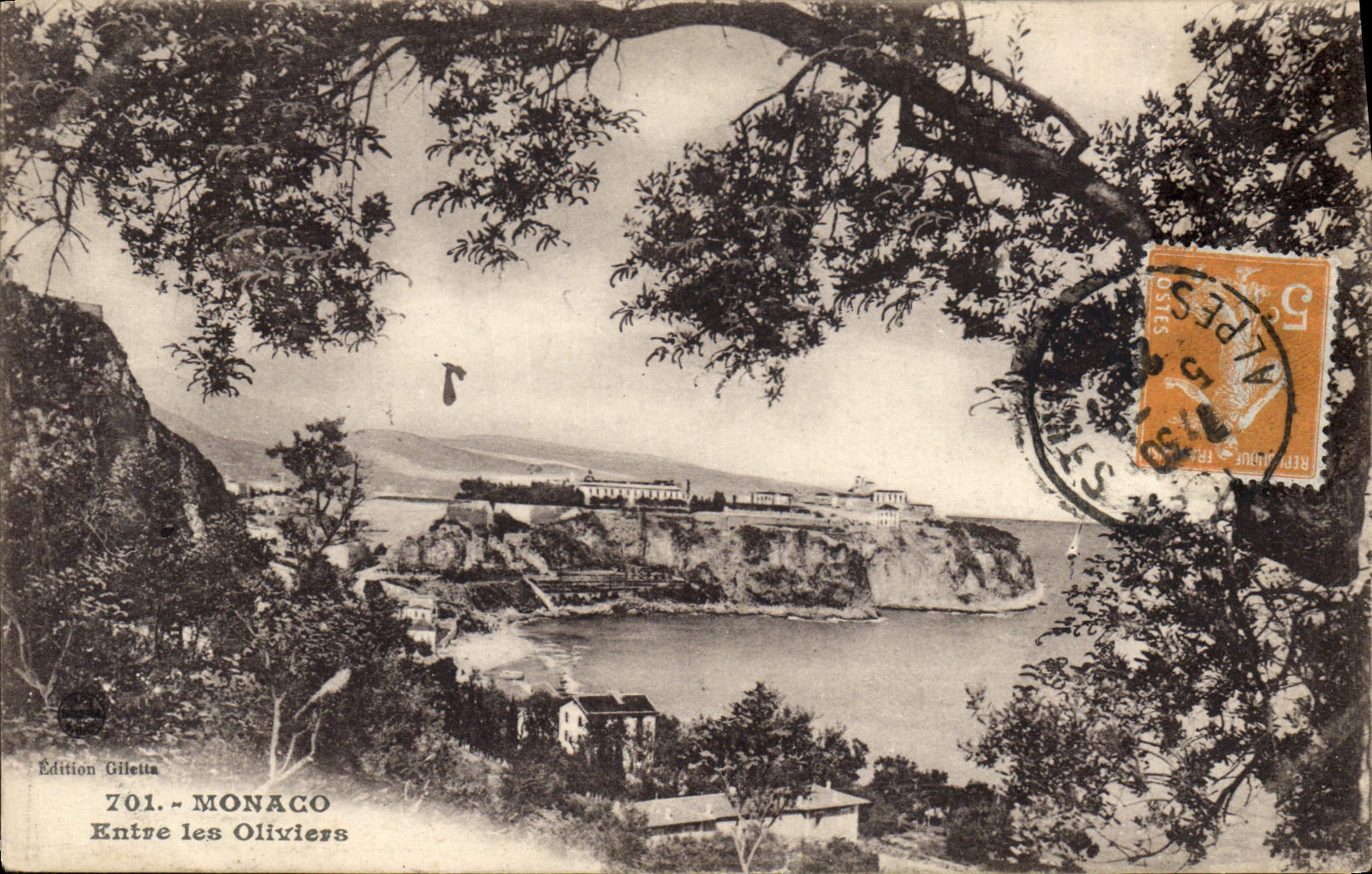 CPA Monaco Entre les Oliviers 