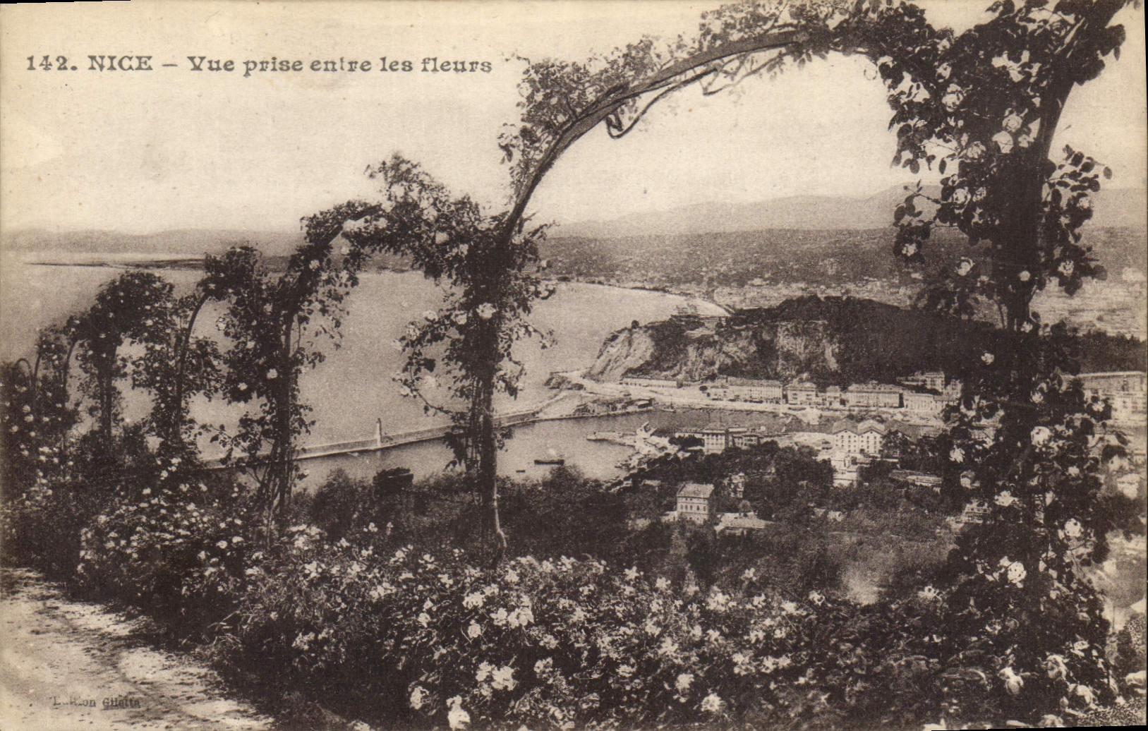 CPA Nice Vue prise entre les fleurs 