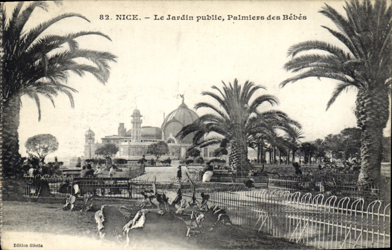 CPA Nice Le Jardin public Palmiers des Bebes 