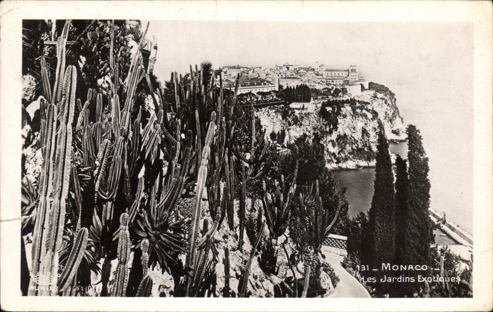 CPA Monaco Les Jardins Exotiques 