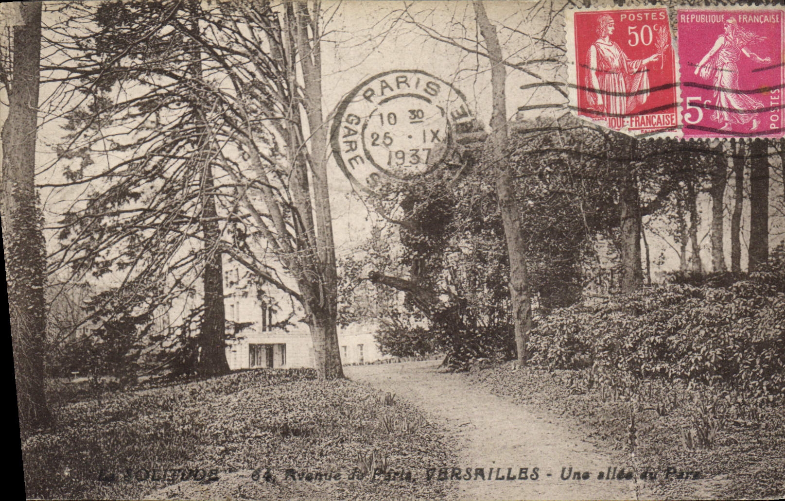 CPA Versailles Une allee du Parc 