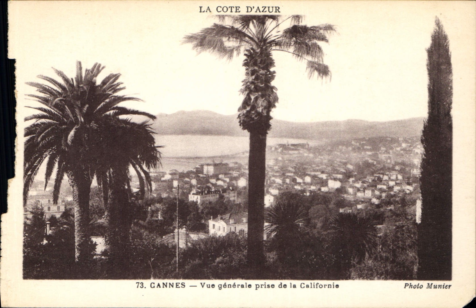 CPA La Cote d'Azur Cannes Vue generale prise de la Californie