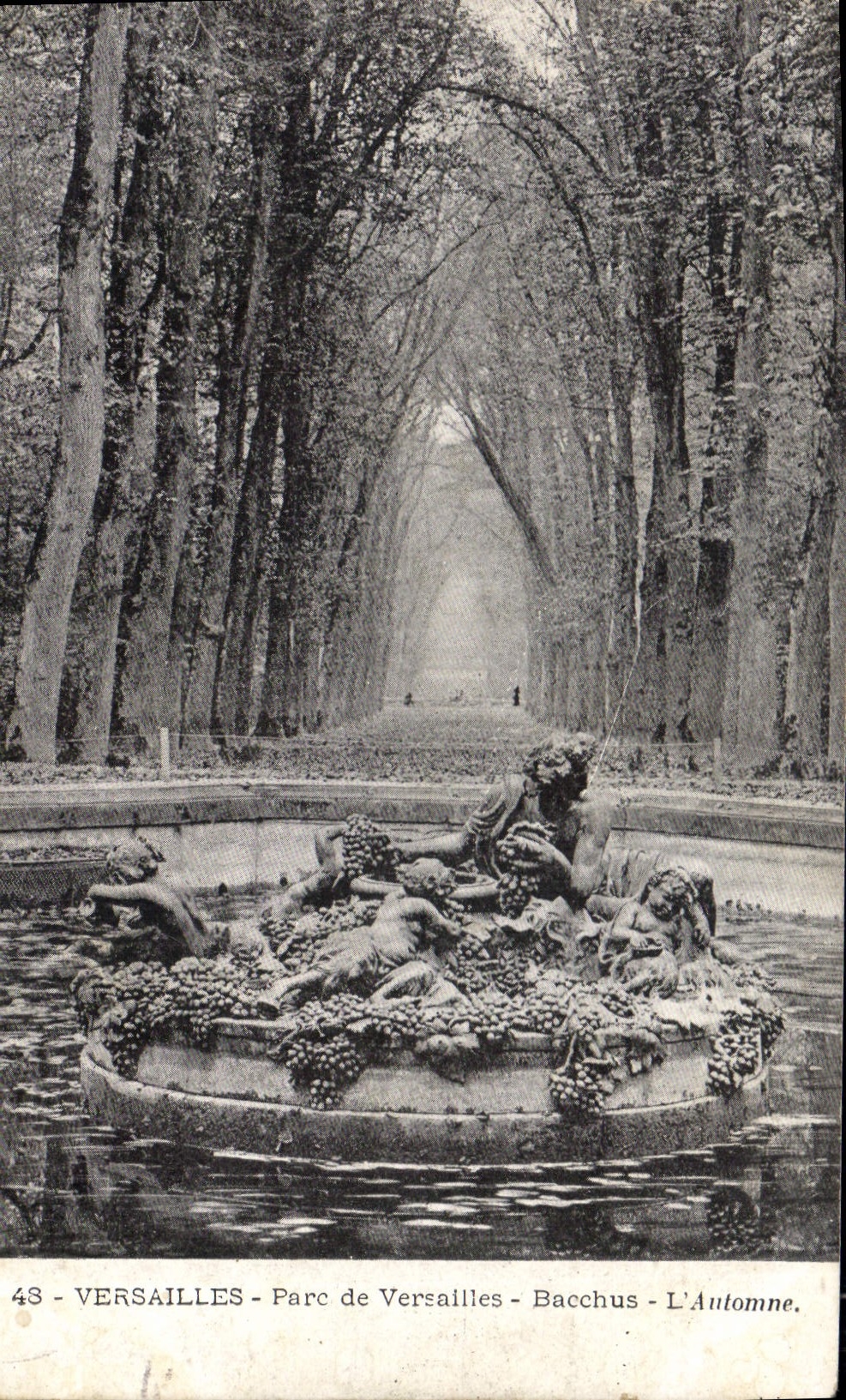 CPA Versailles Parc de Versailles Bacchus L'Automne 