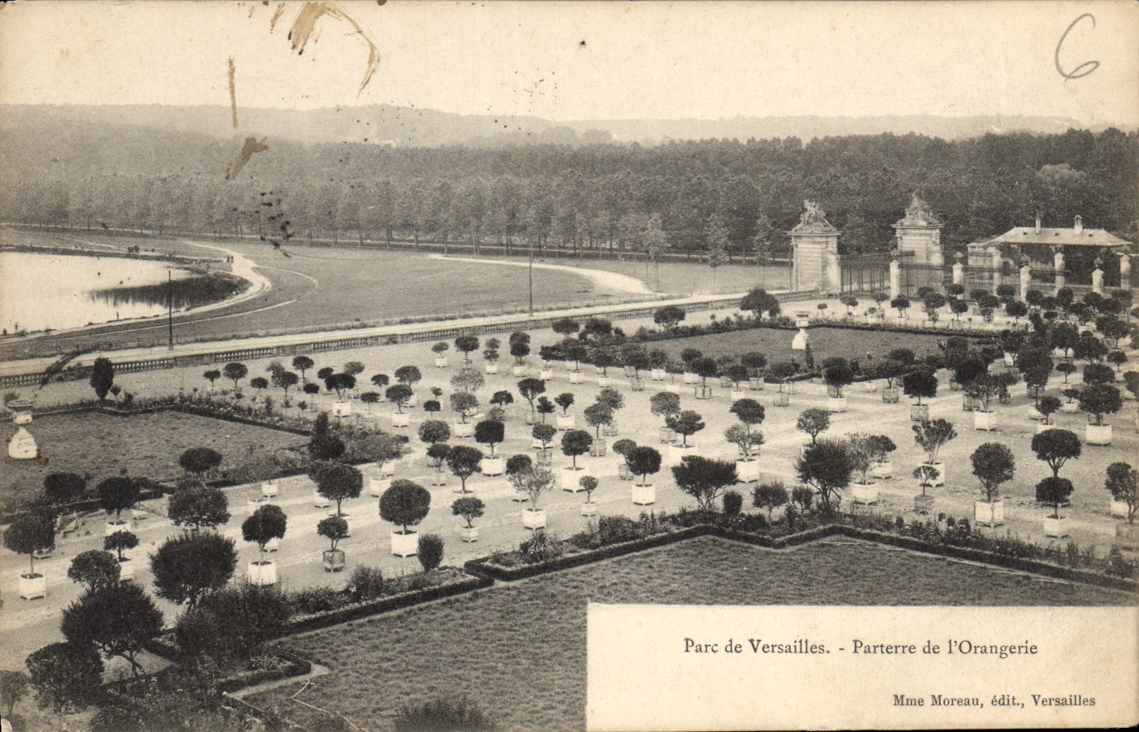 CPA Parc de Versailles Parterre de l'Orangerie 