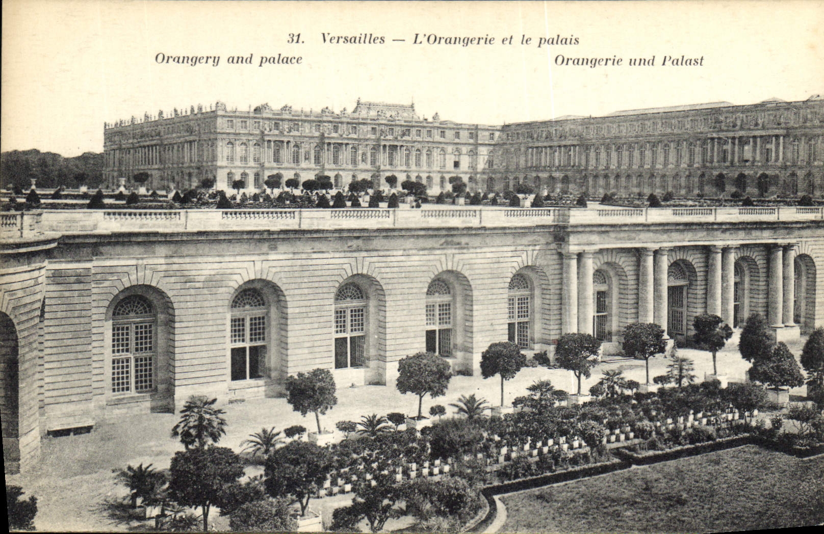 CPA Versailles L'Orangerie et le palais