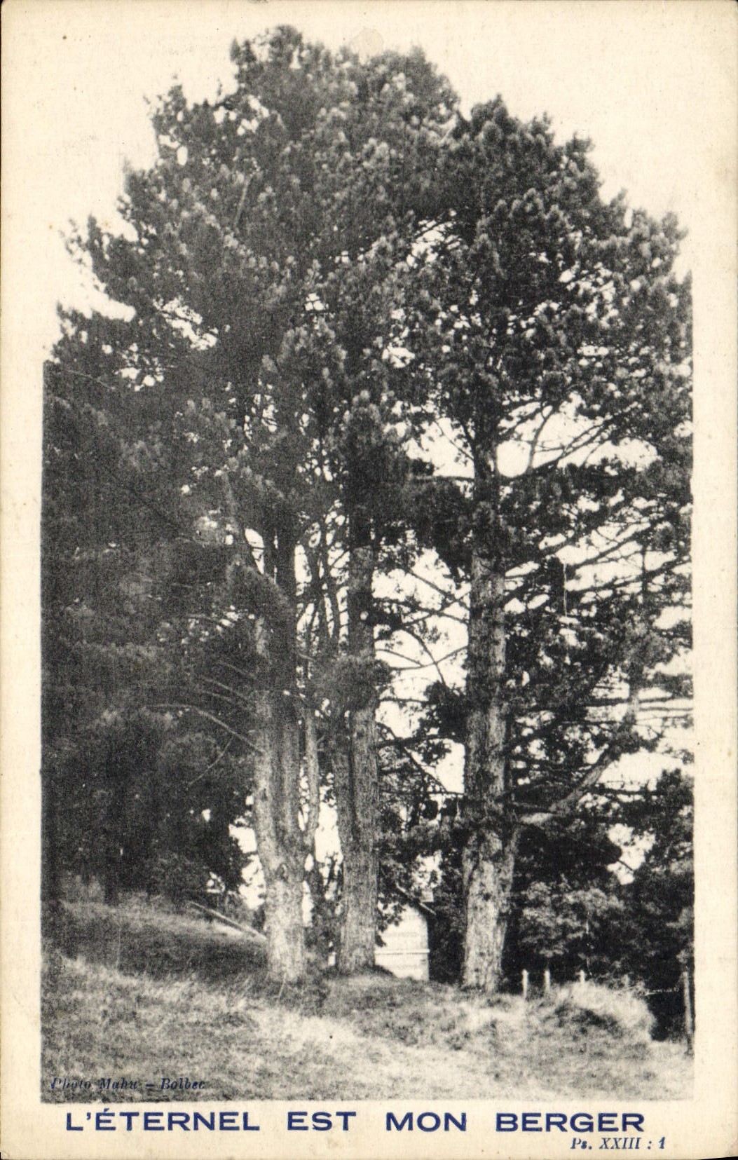 CPA L'Eternel est mon Berger 