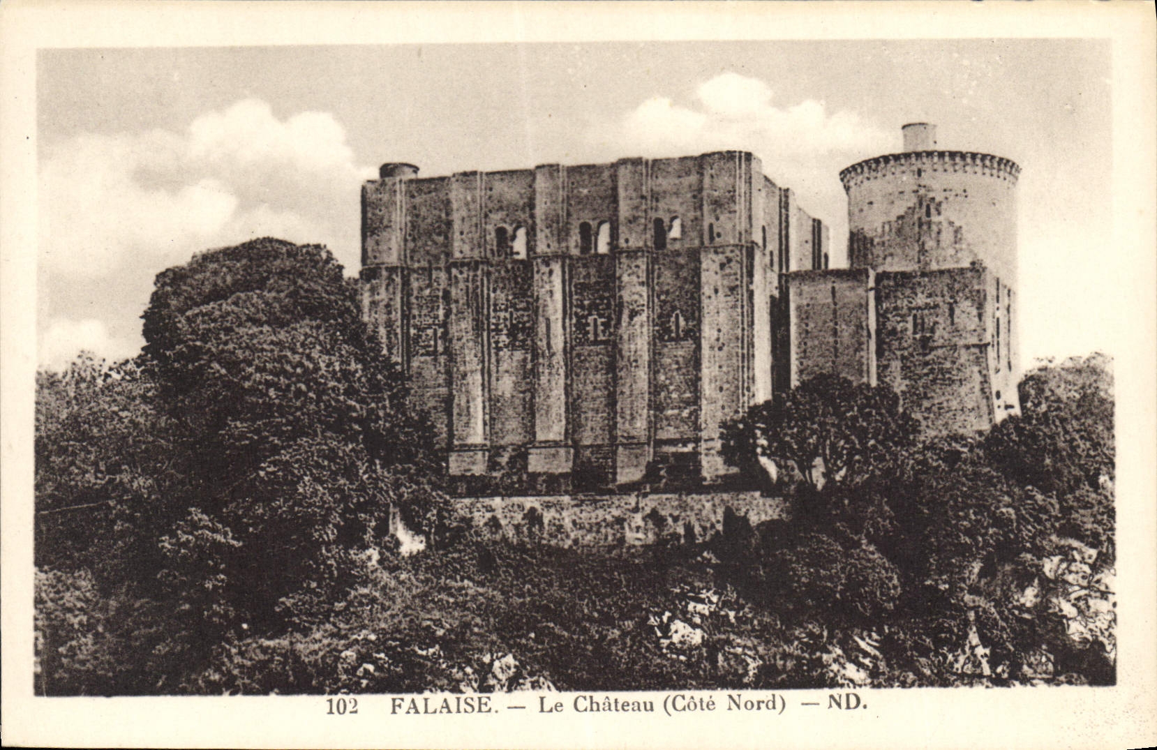 CPA Falaise Le Chateau Cote Nord 