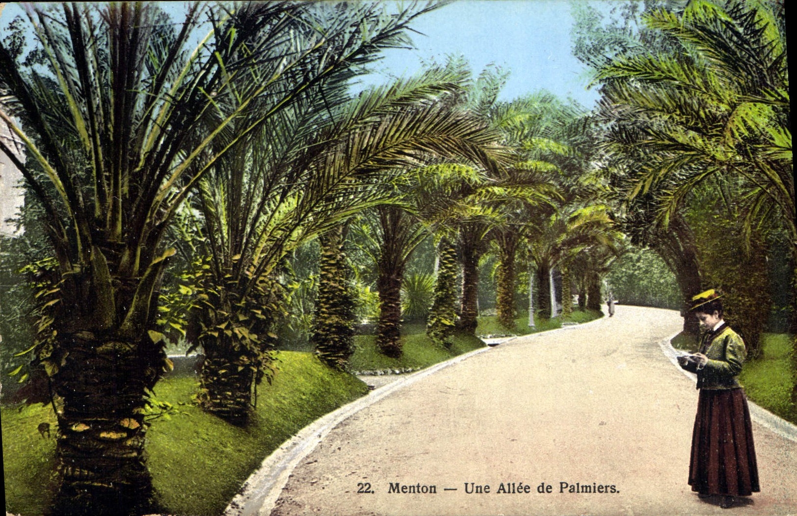 CPA Menton Une Allee de Palmiers 