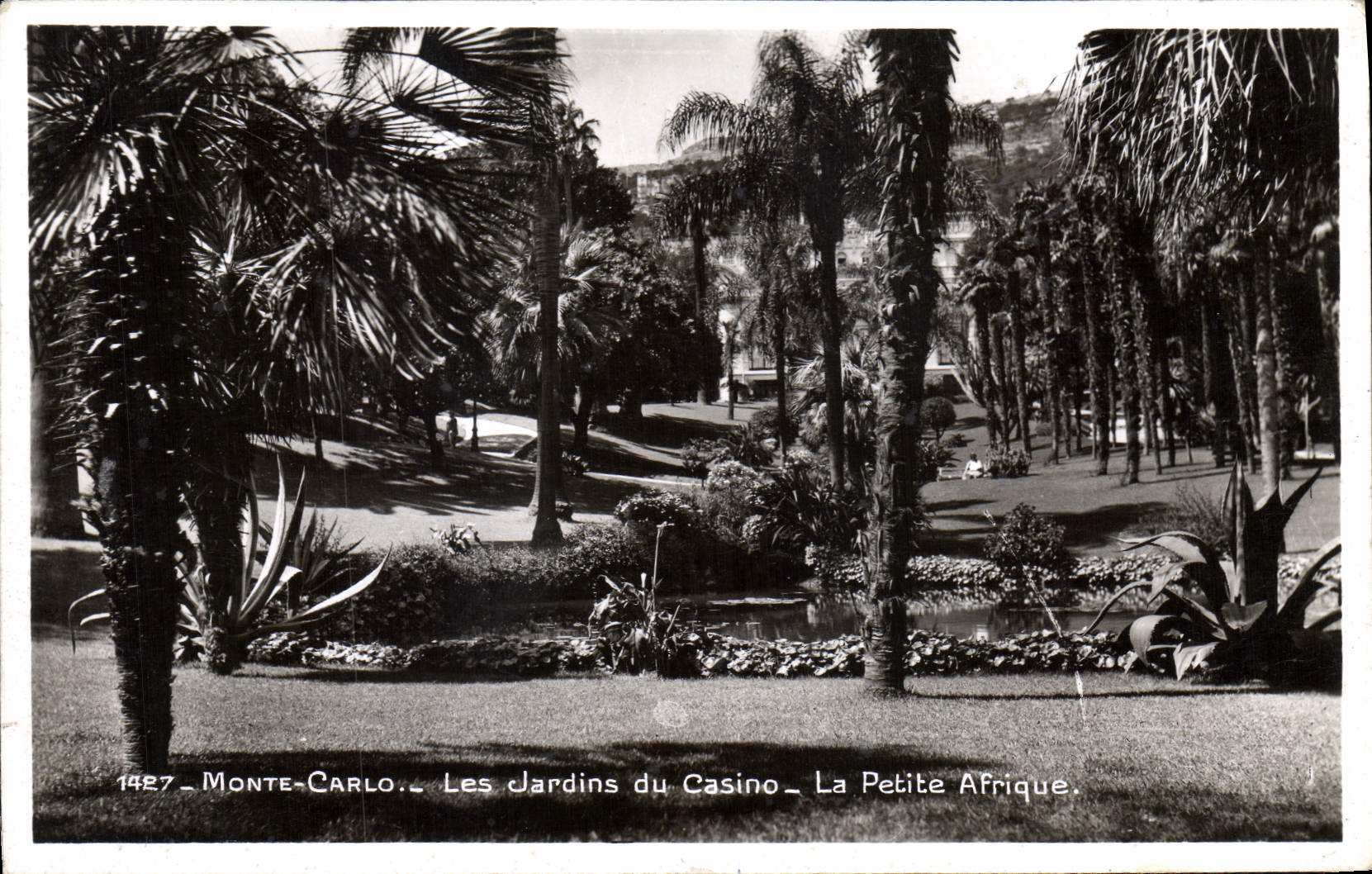 CPA Monte Carlo Les Jardins du Casino La Petite Afrique