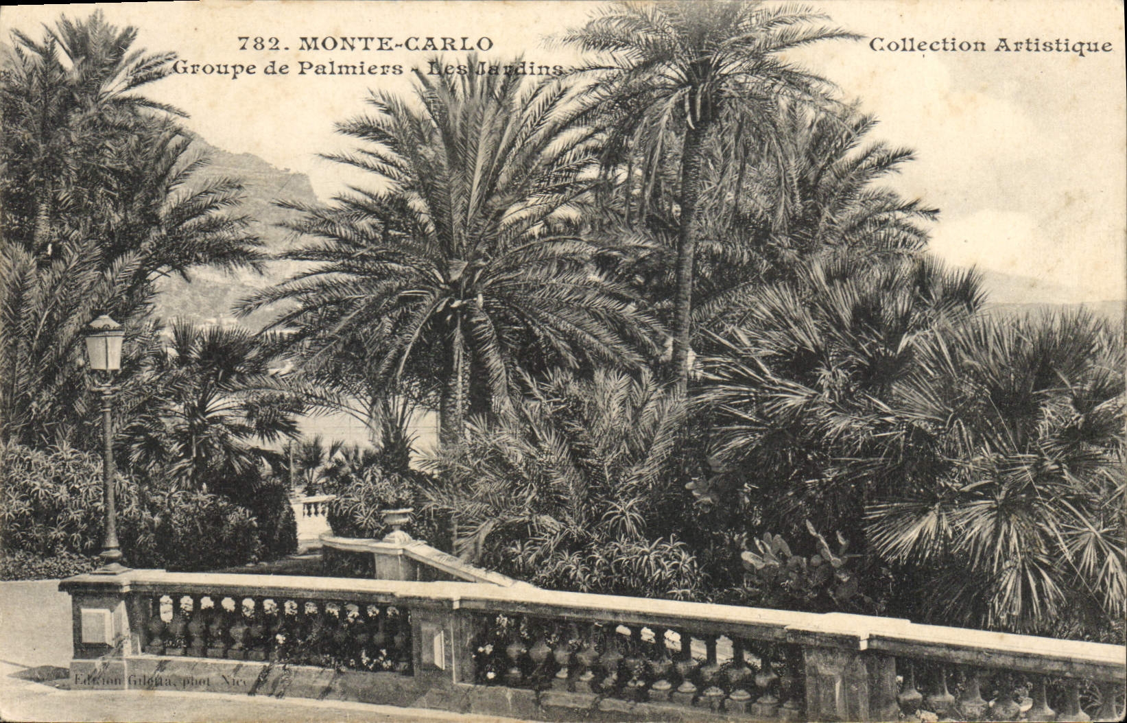 CPA Monte Carlo Groupe de Palmiers Les Jardins