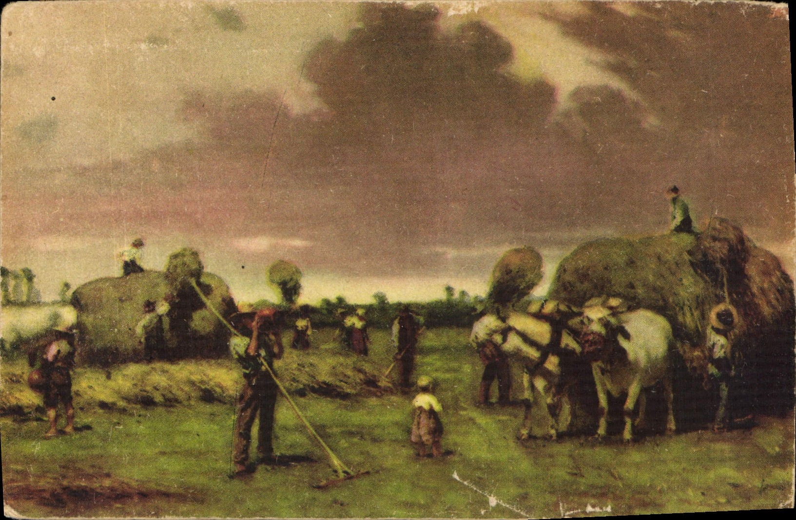 CPA Attelage Bœufs
