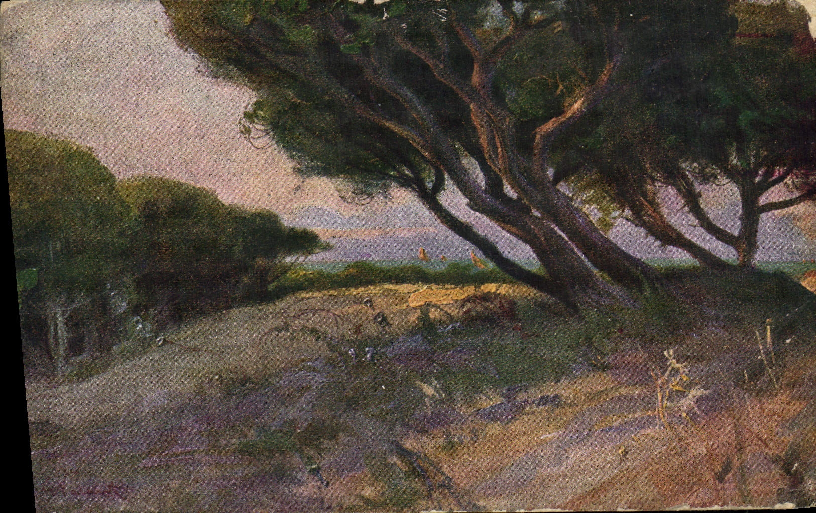 CPA Giuseppe Palanti Pineta a mare 