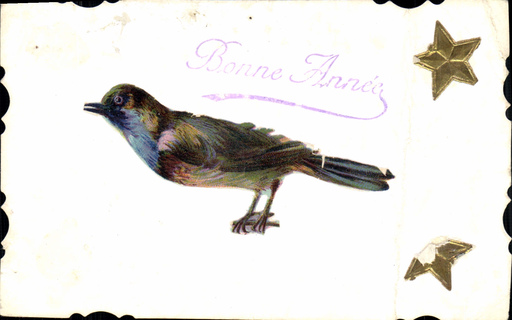 CPA Bonne Annee Oiseau