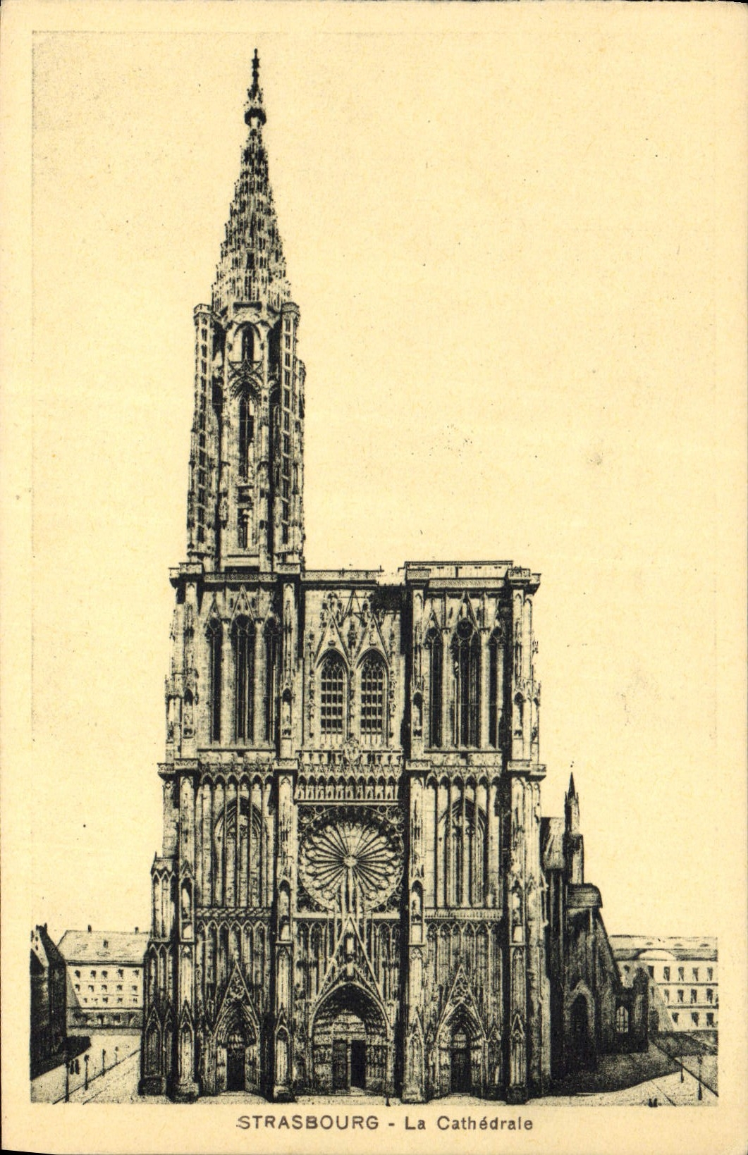 CPA Strasbourg La Cathedrale 