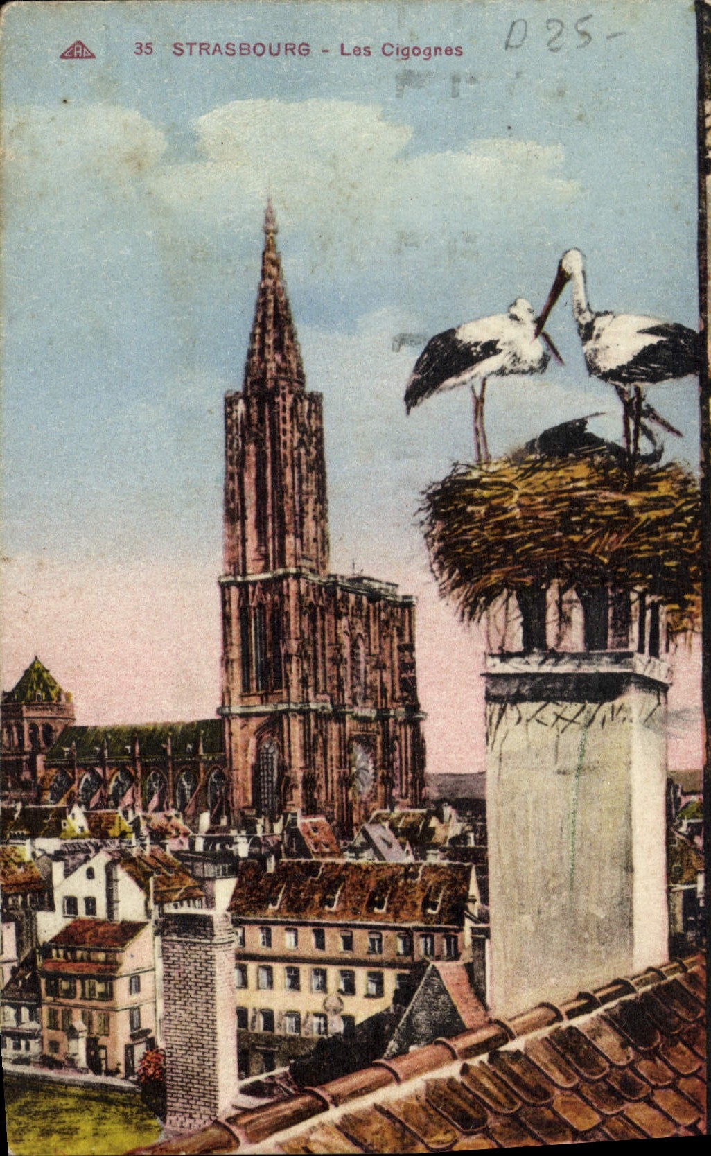 CPA Strasbourg Les Cigognes 