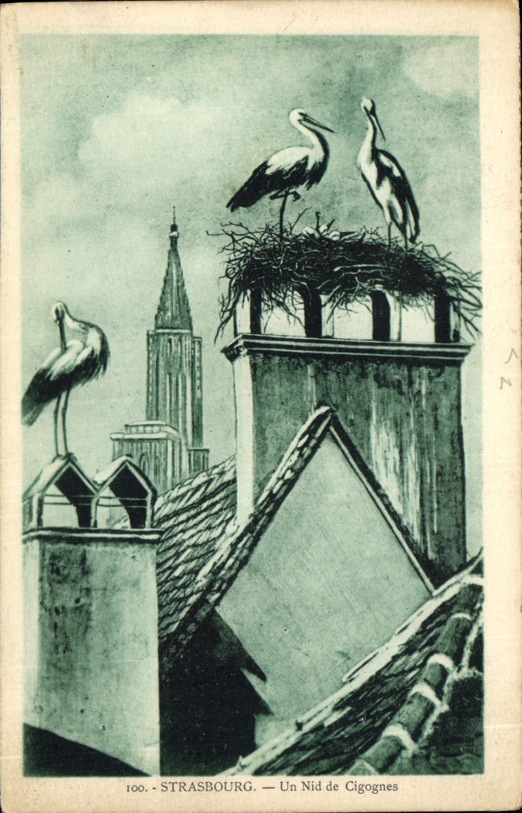 CPA Strasbourg Un Nid de Cigognes 