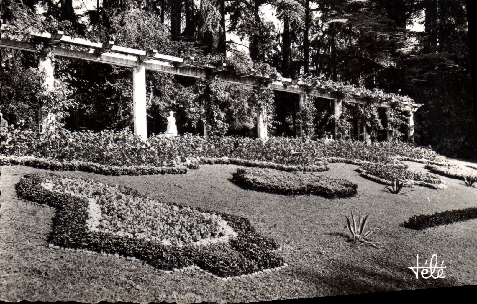 CPA Aix les Bains La Pargola du Parc et ses parterres fleuris