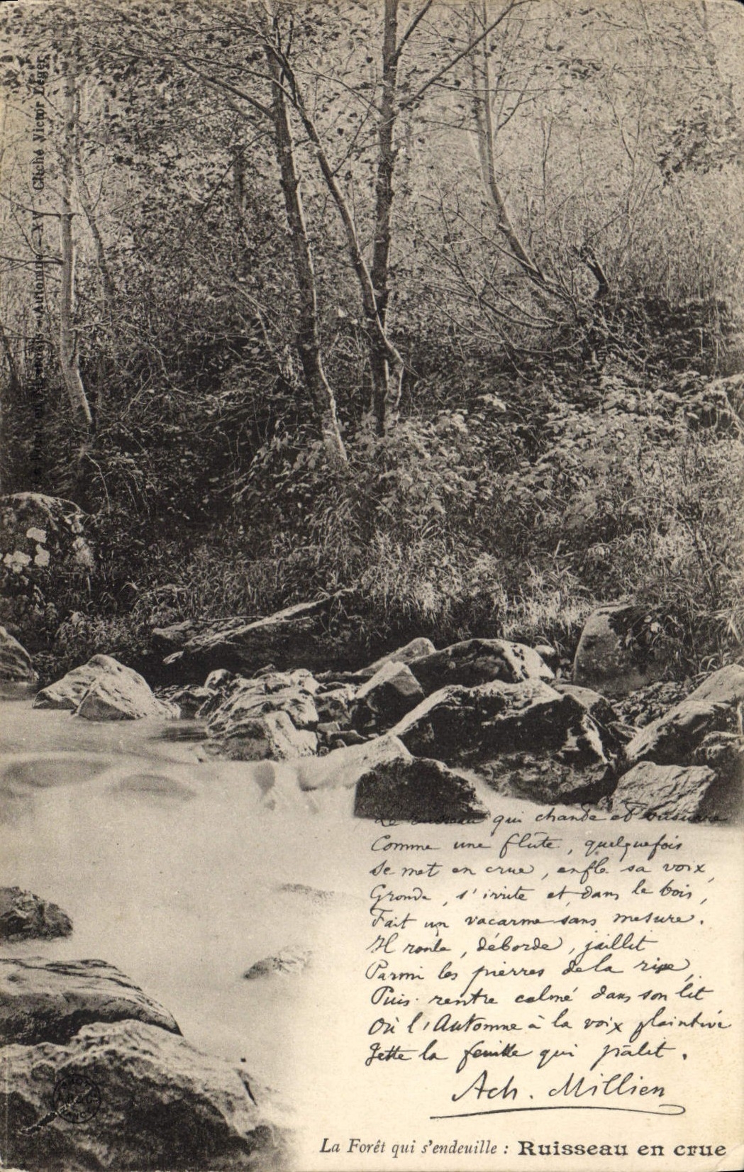 CPA La Foret qui s'endeuille Ruisseau en crue 