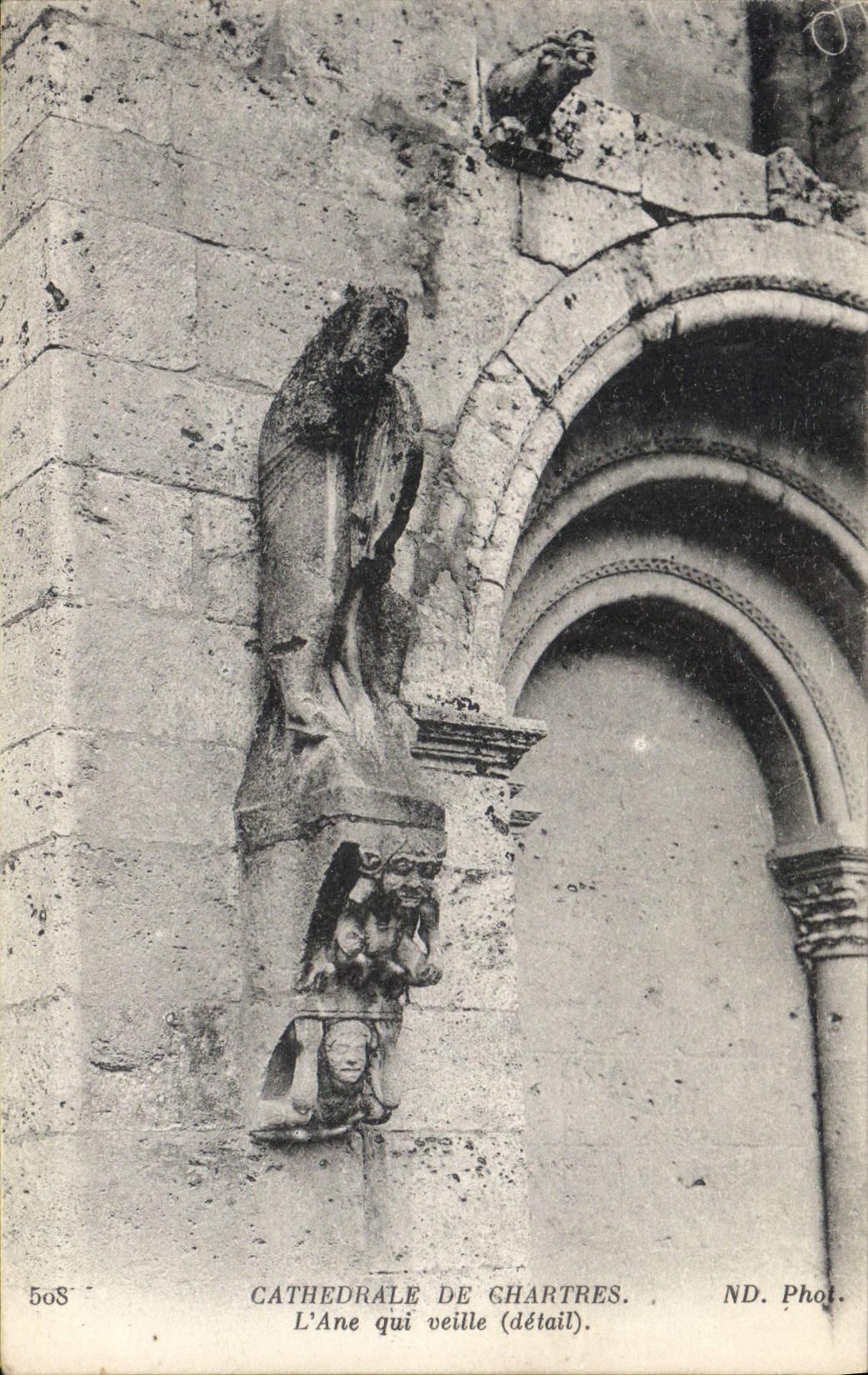 CPA Cathedrale de Chartres l'Ane qui veille detail