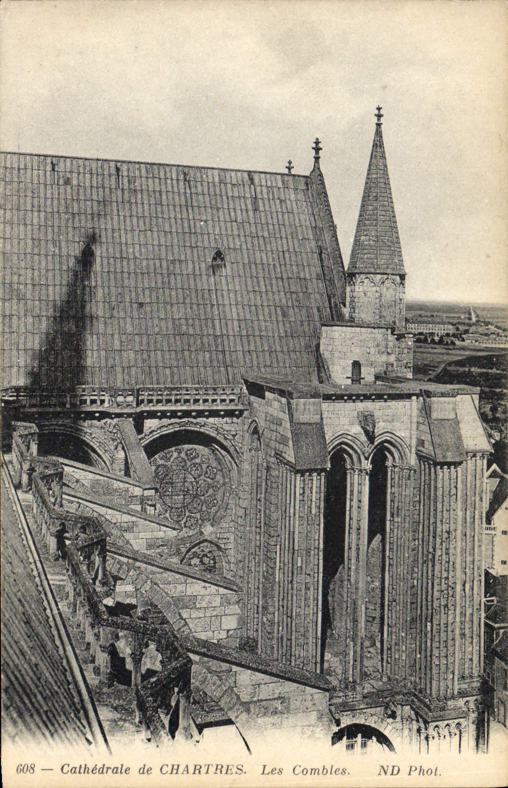 CPA Cathedrale de Chartres les Combles 