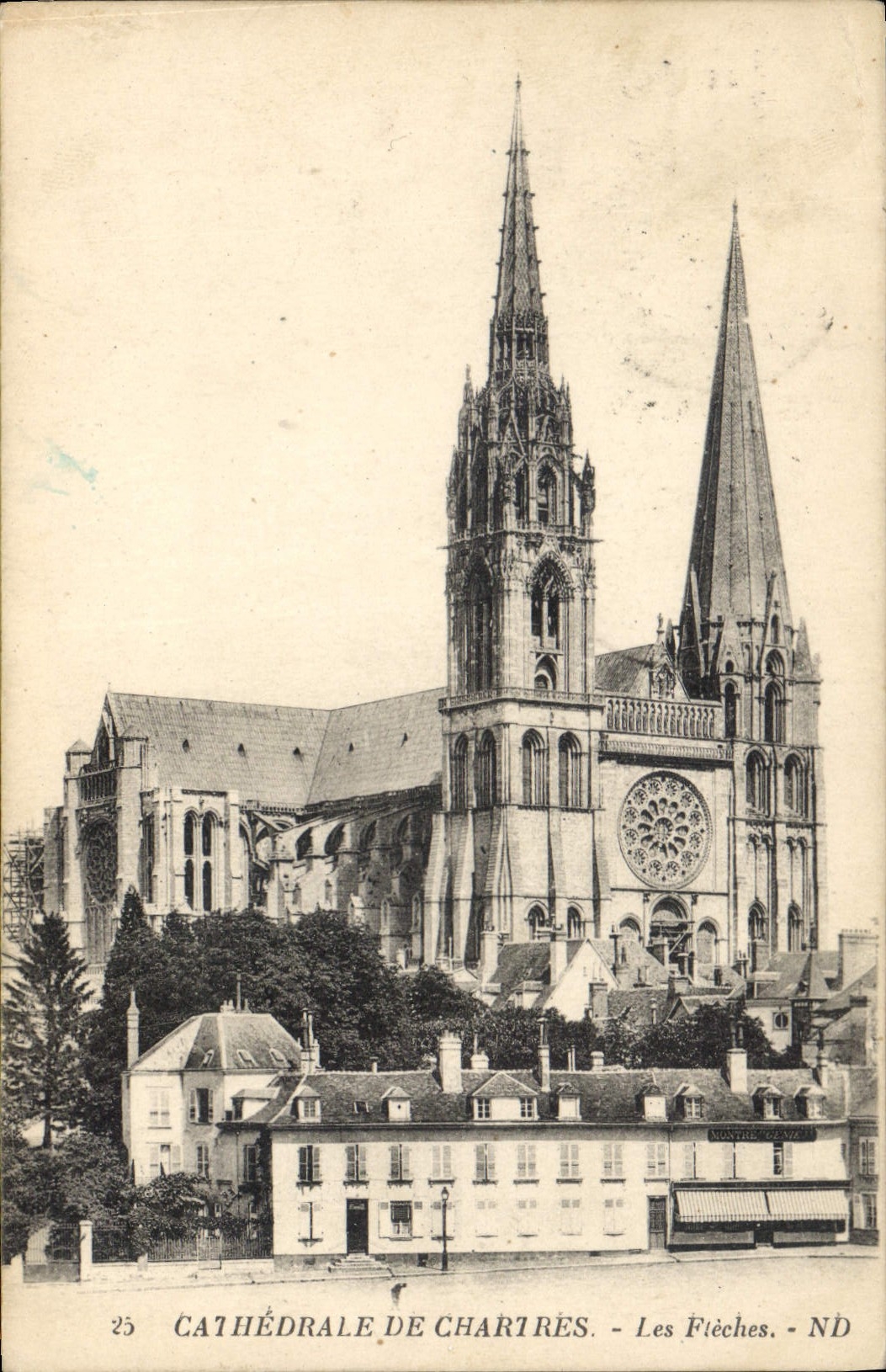 CPA Cathedrale de Chartres les Fleches