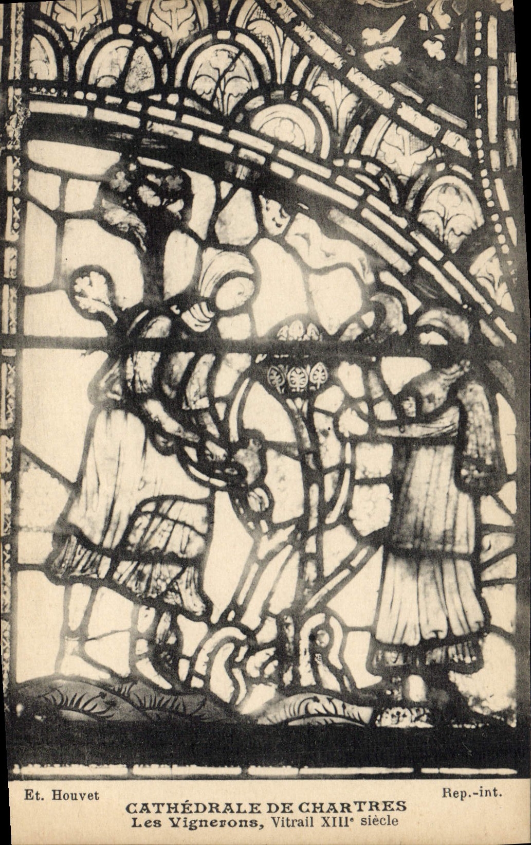CPA Cathedrale de Chartres Les Vignerons Vitrail XIII siecle 