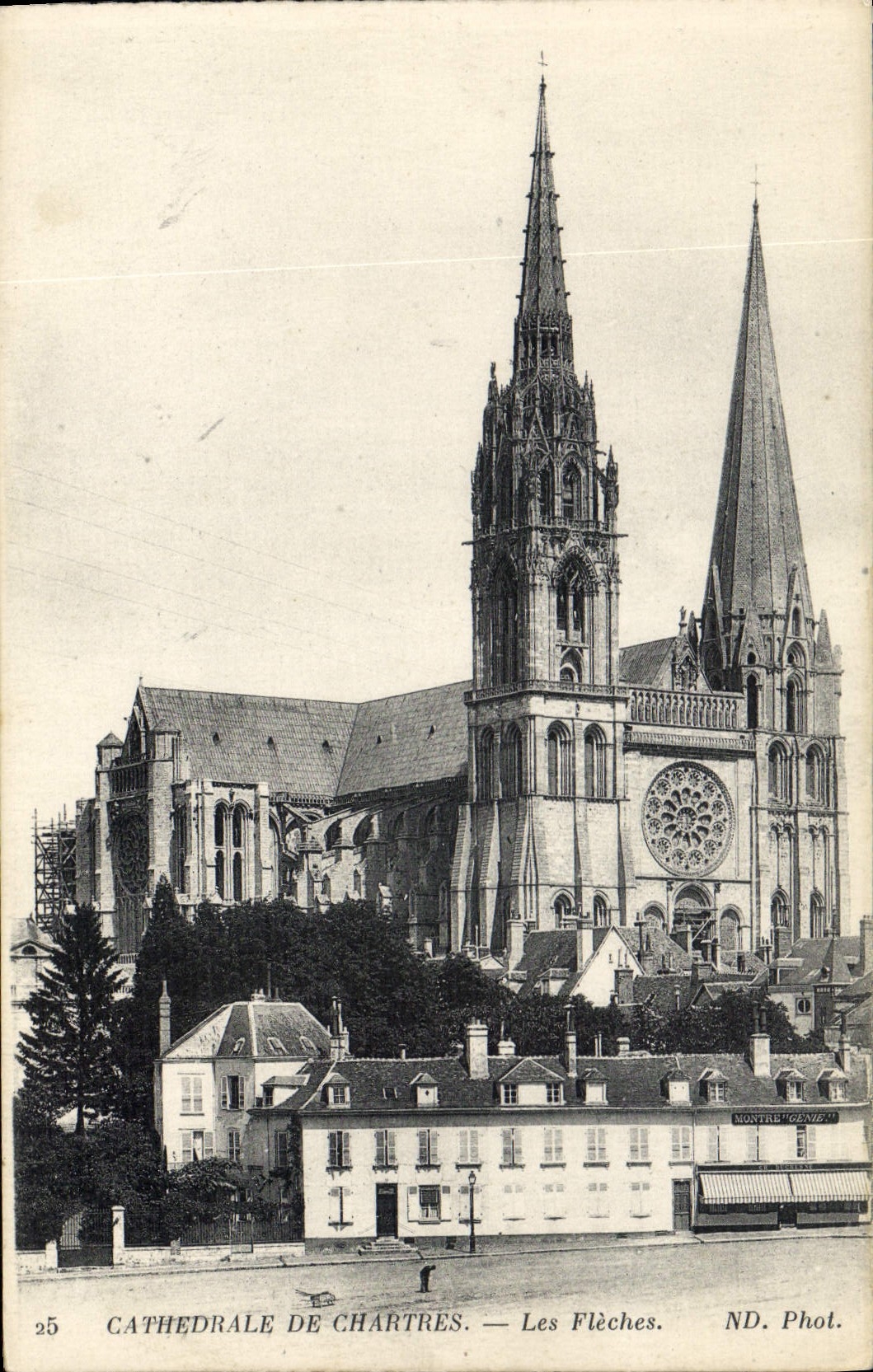 CPA Cathedrale de Chartres Les Fleches 