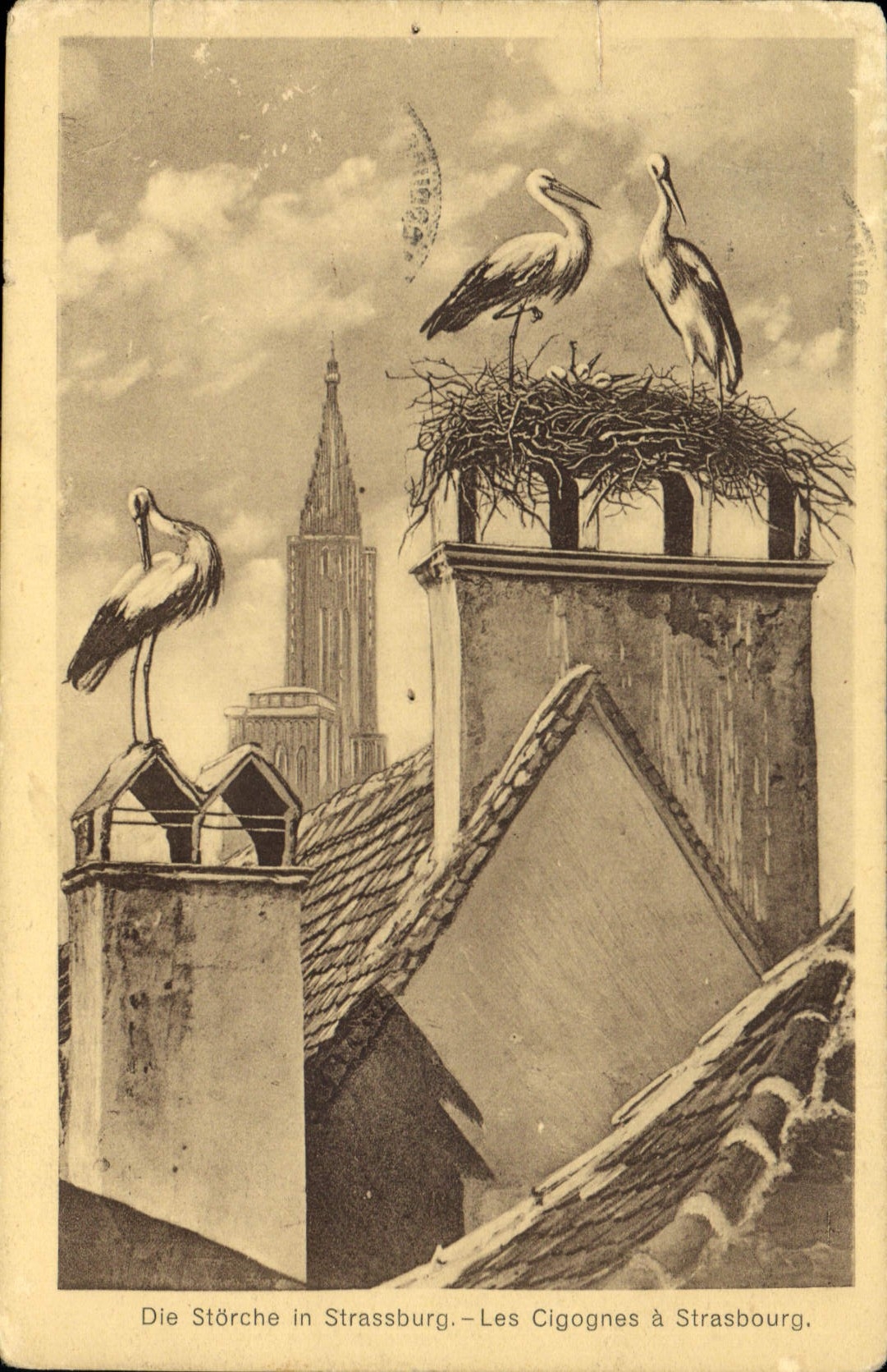 CPA Les Cigognes a Strasbourg 