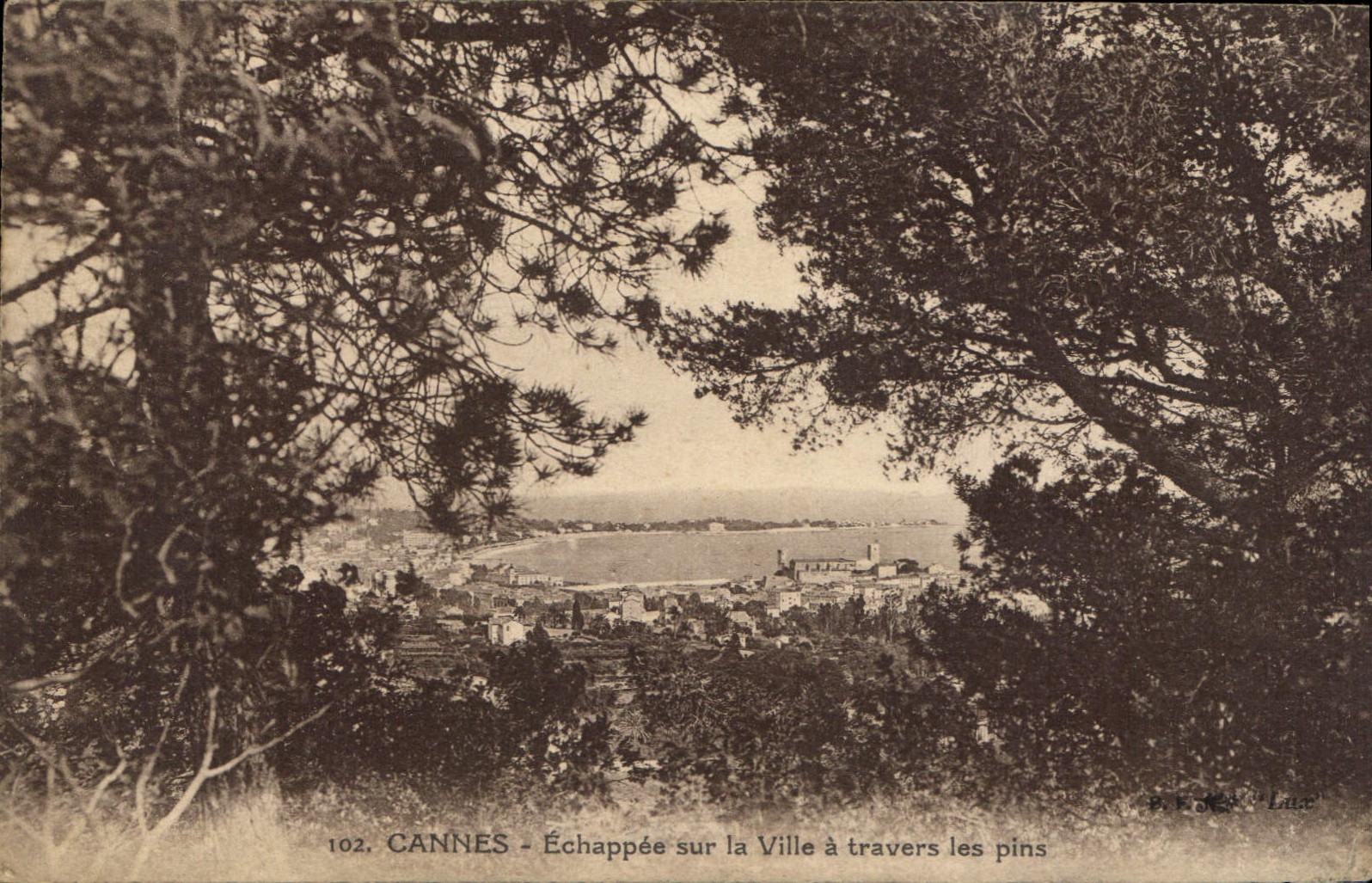 CPA Cannes Echappee sur la Ville a travers les pins
