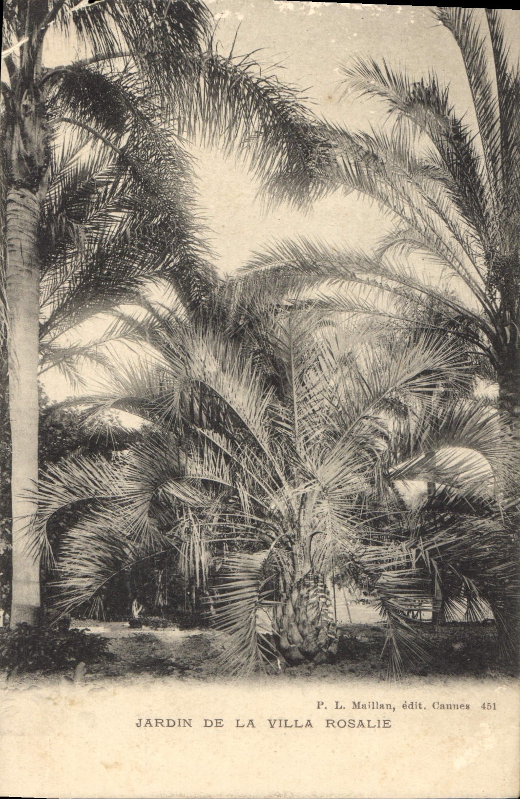 CPA Jardin de la Villa Rosailie 