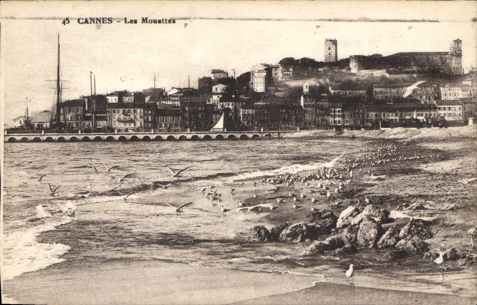 CPA Cannes Les Mouettes 