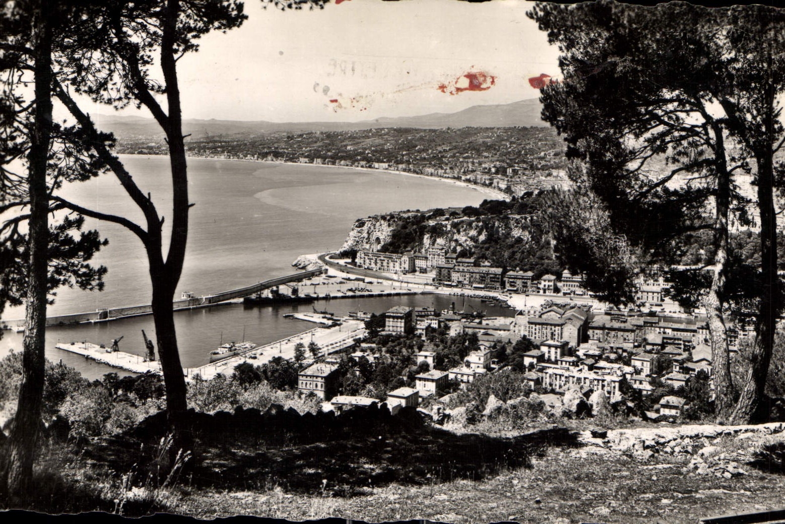 CPA Nice vue generale 