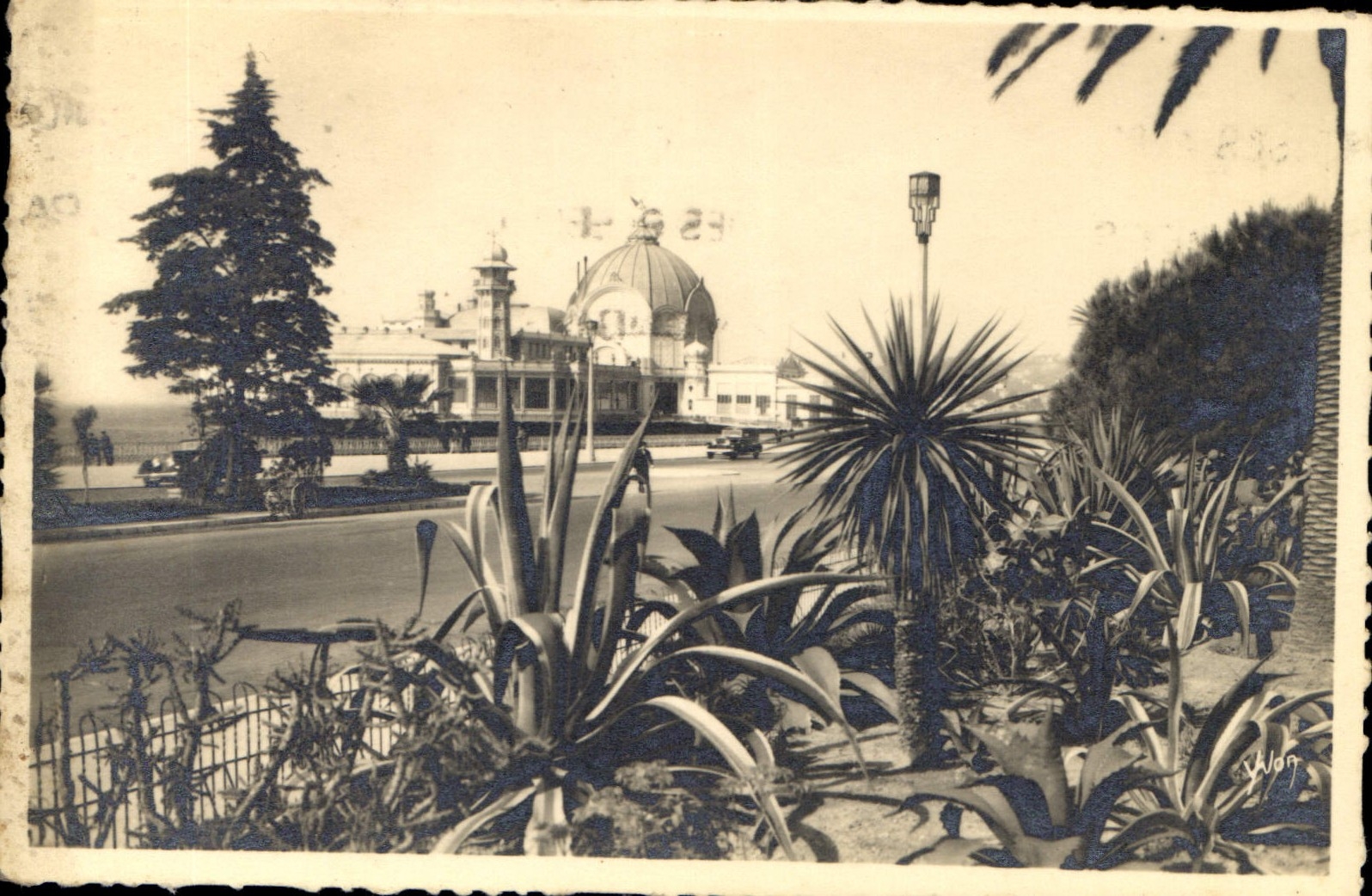 CPA La Douce France Cote d'Azur Nice La Flore des Jardins Albert Ier et le Palais de la Jetee