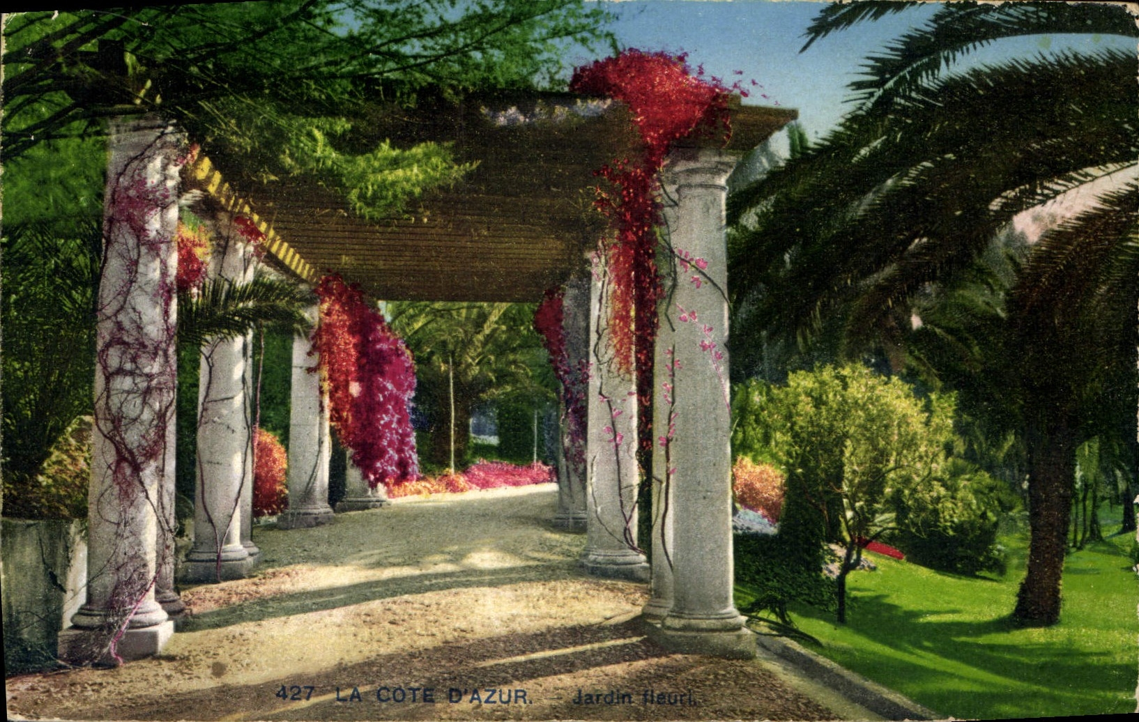 CPA La Cote d'Azur Jardin Henri