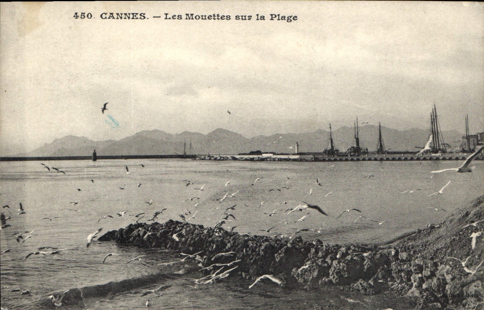 CPA Cannes Les Mouettes sur la Plage 