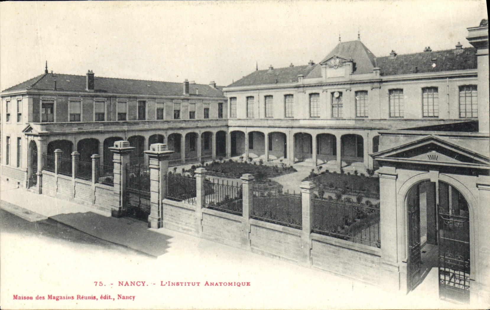 CPA Nancy L'Institut Anatomique 