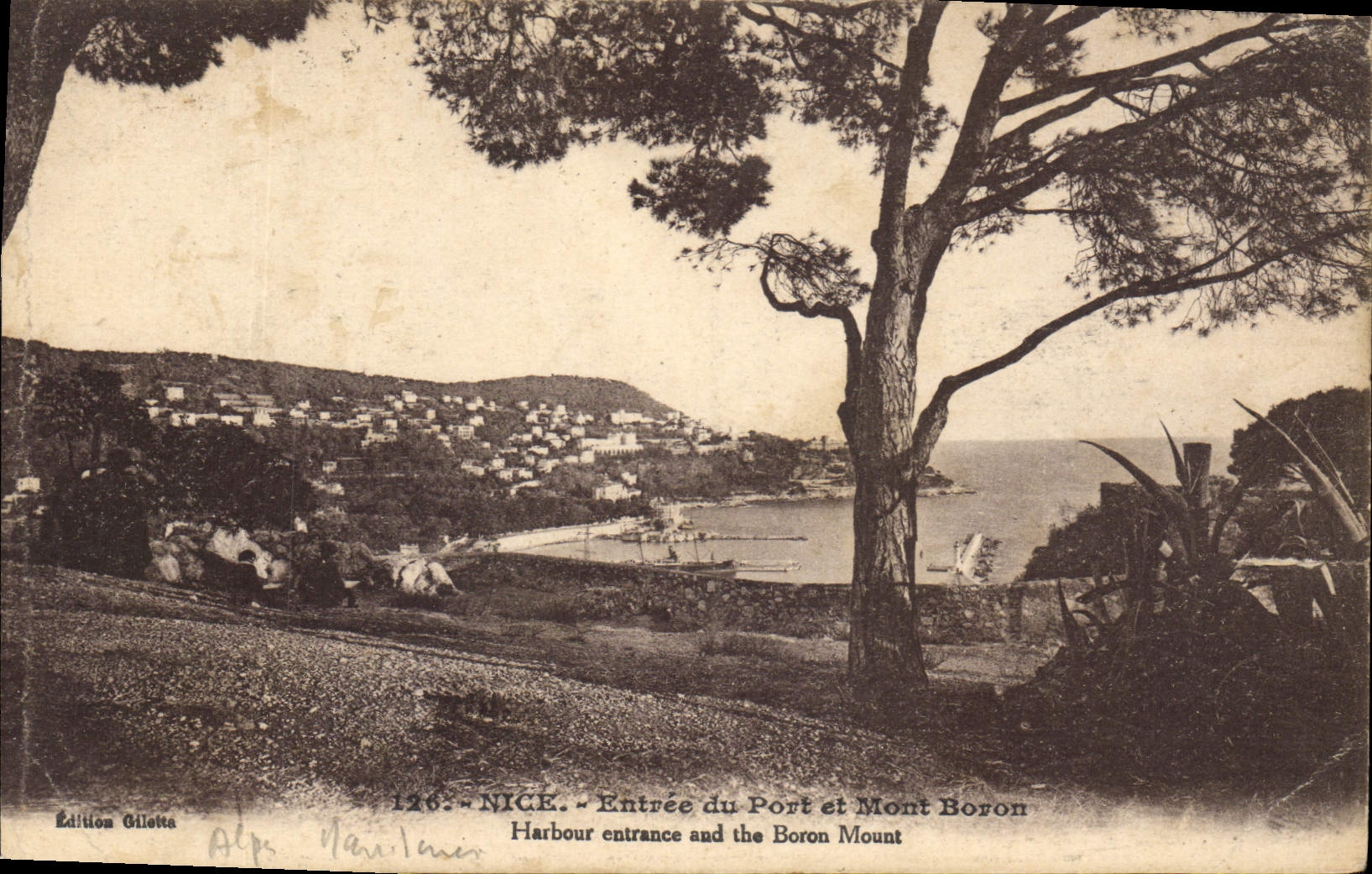 CPA Nice Entree du Port et Mont Boron 