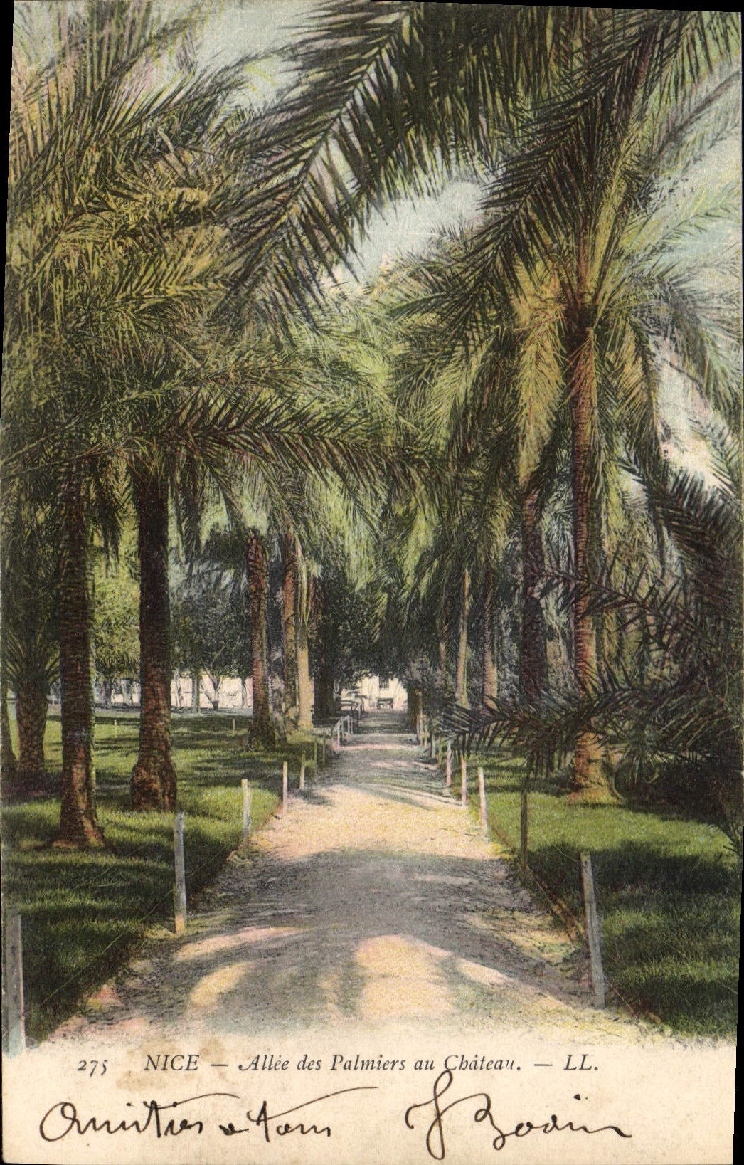 CPA Nice Allee des Palmiers au Chateau 