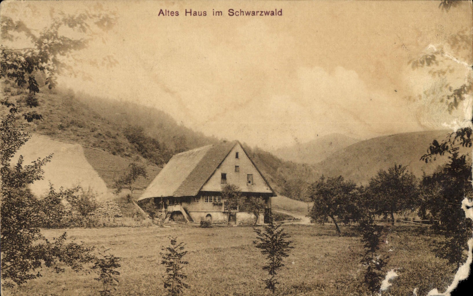 CPA Altes Haus im Schwarzwald 