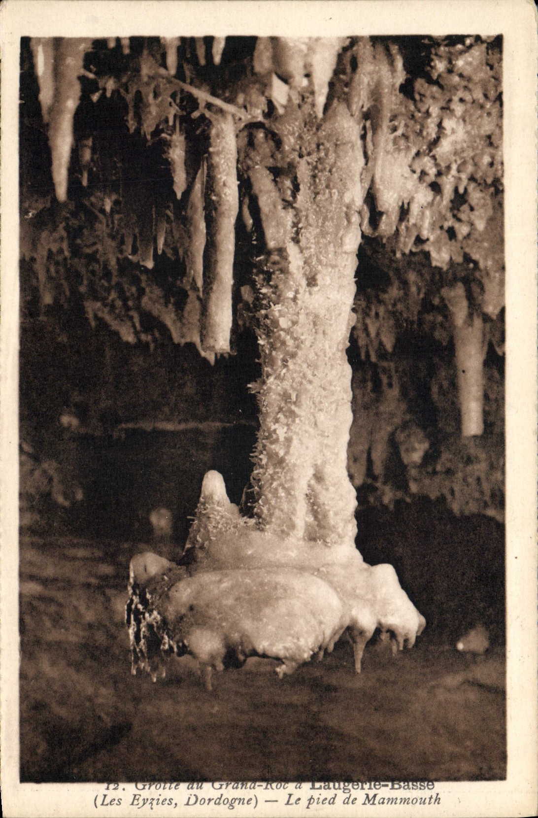 CPA Grotte du Grand Roc a Laugerie Basse le Pied de Mammouth