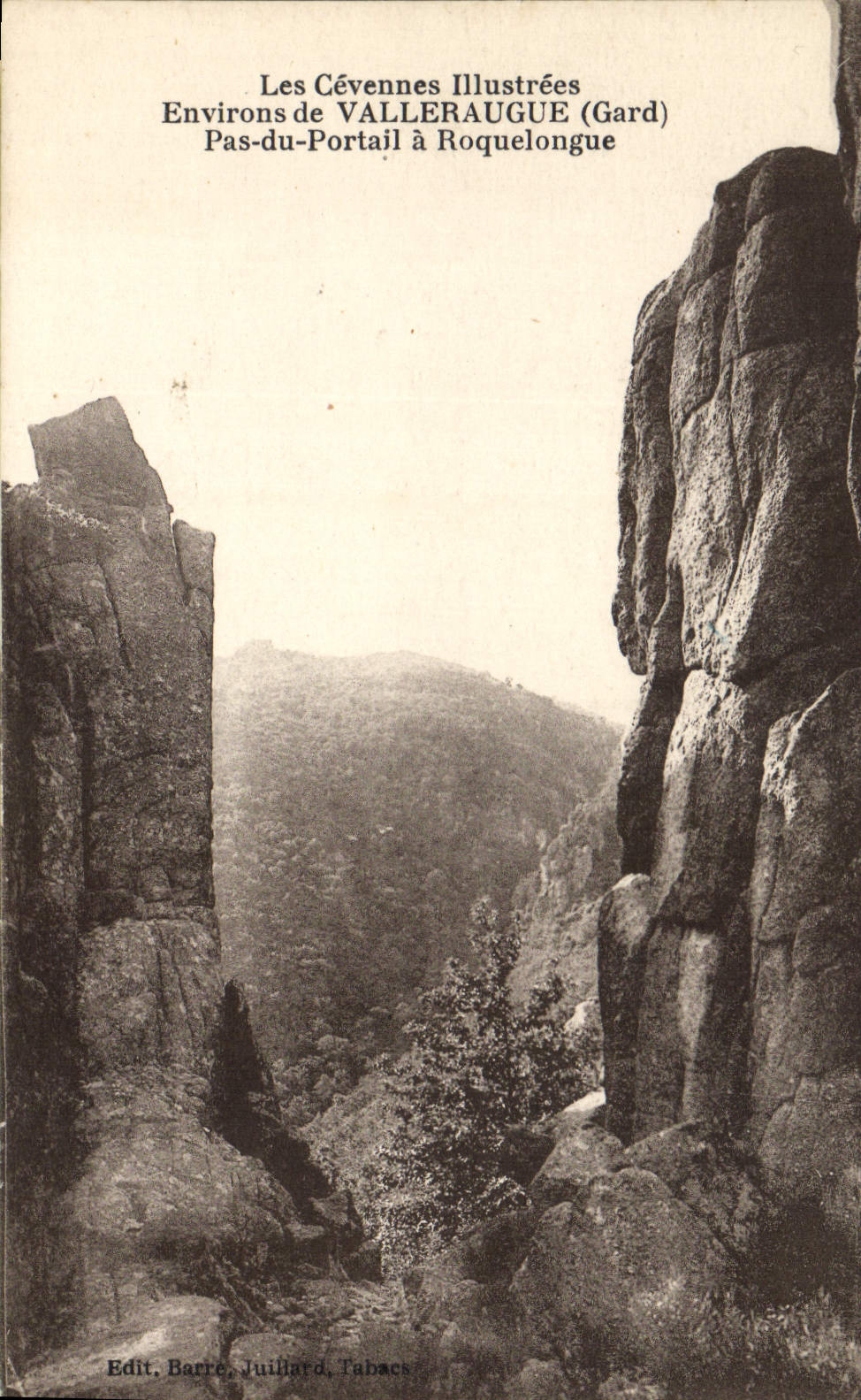 CPA les Cevennes Illustrees Environs de Valleraugue Gard Pas du Portail a Roquelongue 