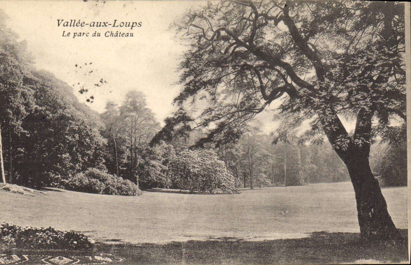 CPA Vallee aux Loups Le Parc du Chateau