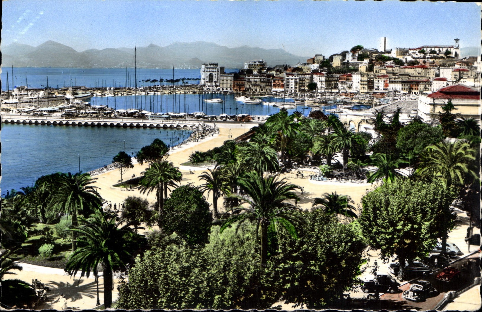 CPA la Cote d'Azur Cannes le Jardin et le Suquet
