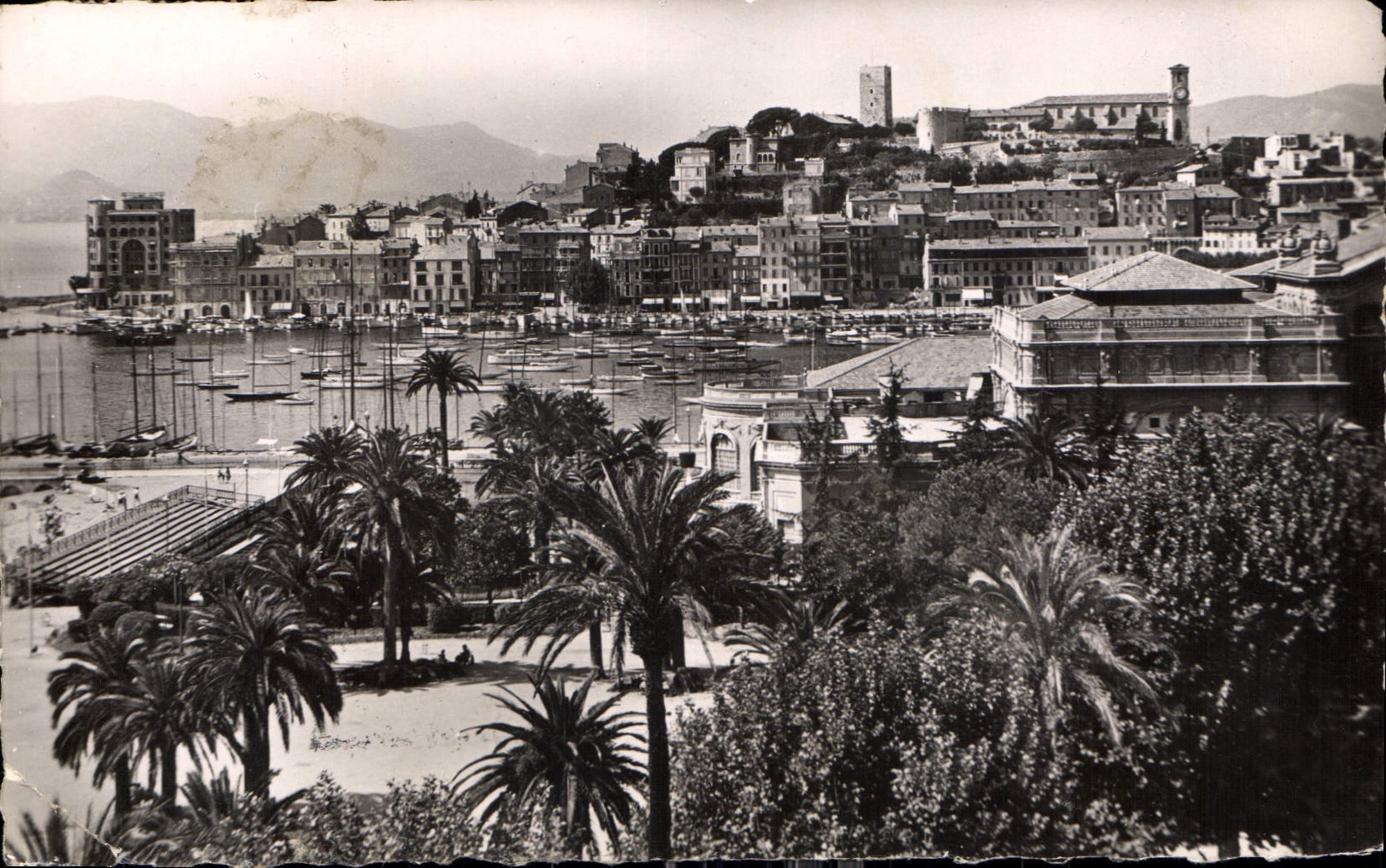 CPA Cannes le Port et le Mont Chevalier 