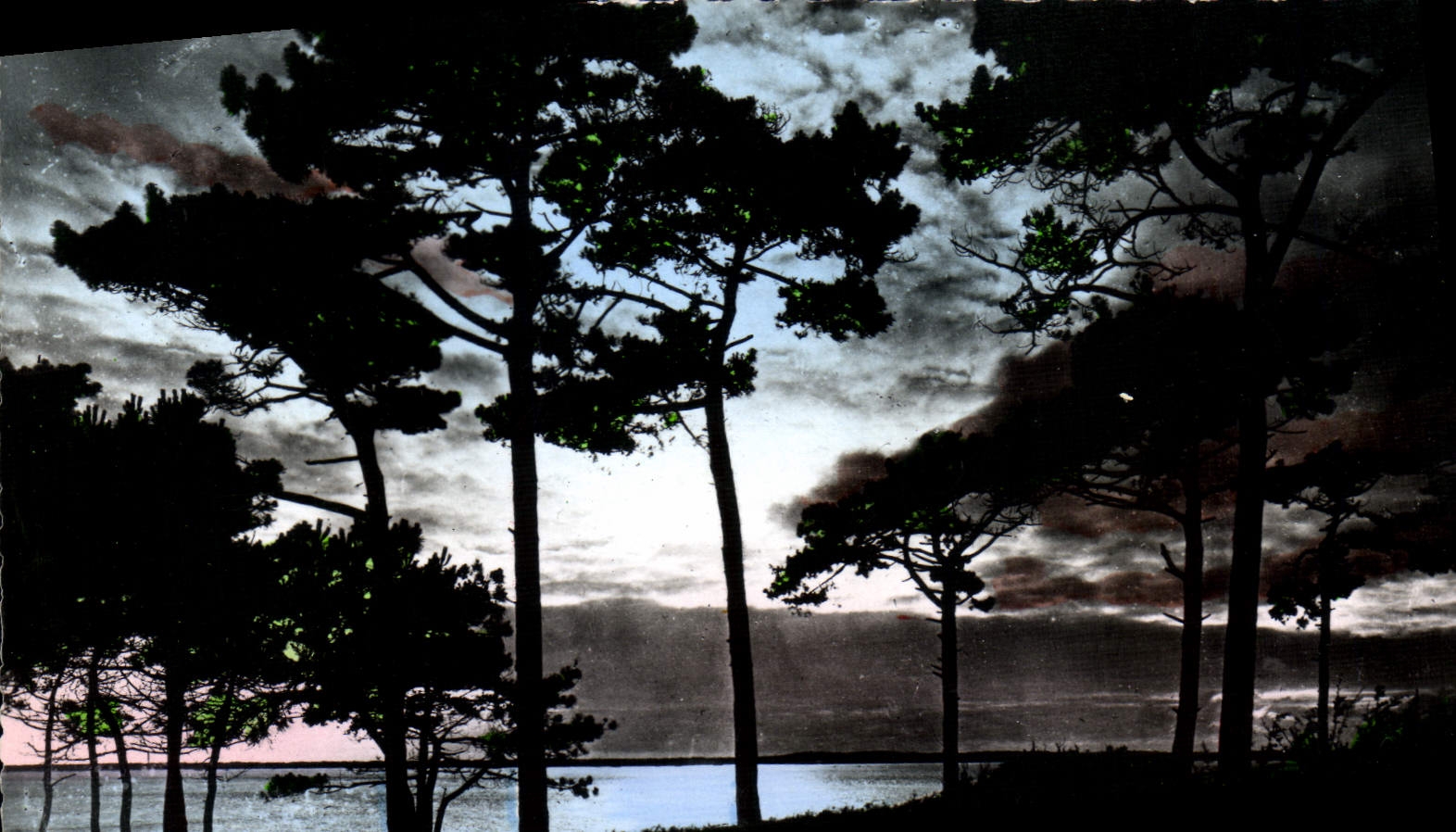 CPA Bassin d'Arcachon Gironde Coucher de Soleil 