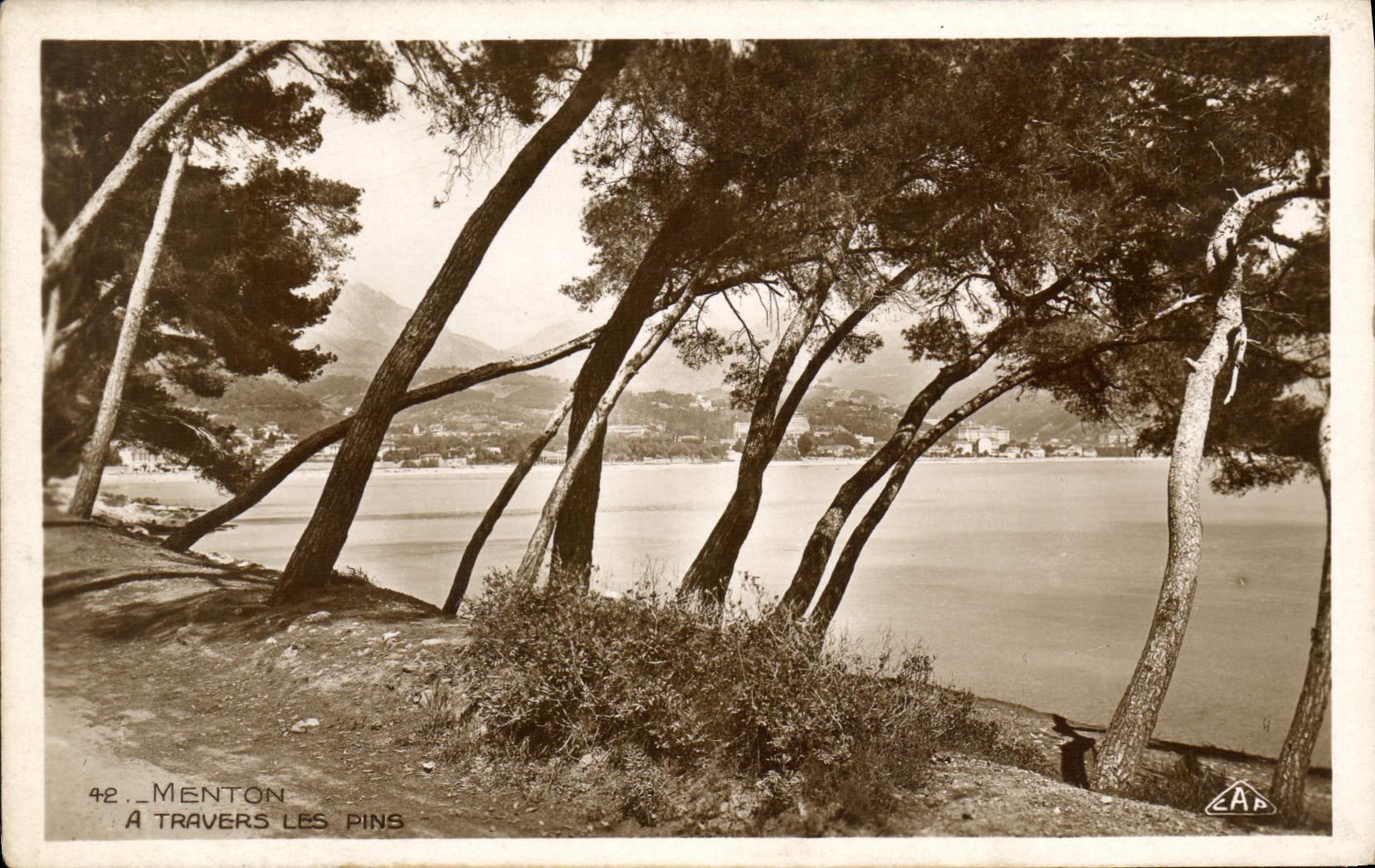 CPA Menton A Travers les Pins 