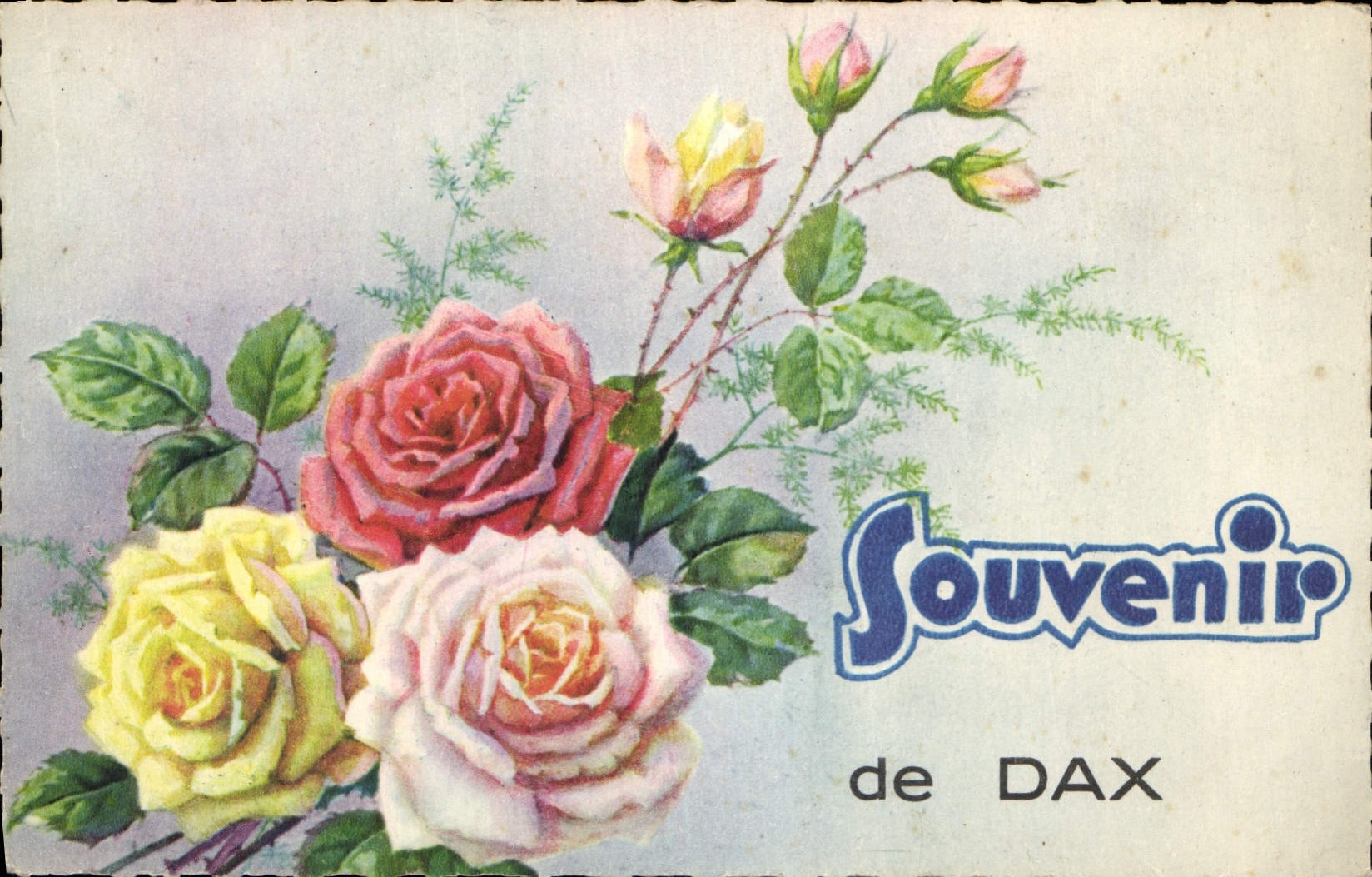 CPA Souvenir de Dax Fleurs