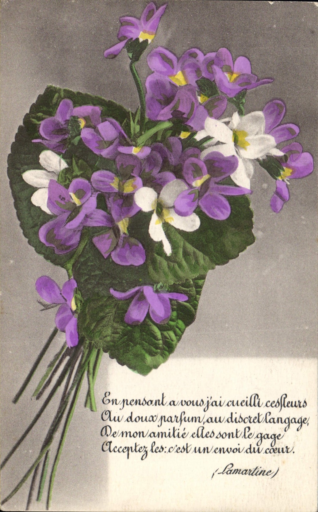 CPA En pensant a vous jai cueille ces fleurs 