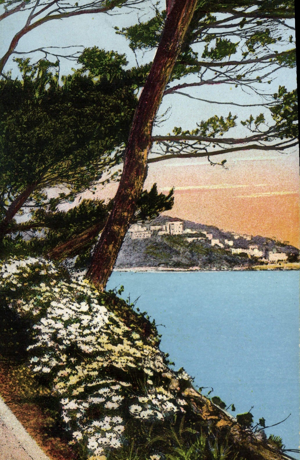CPA Flore Artistique Au bord de la Met Cote d'Azur 