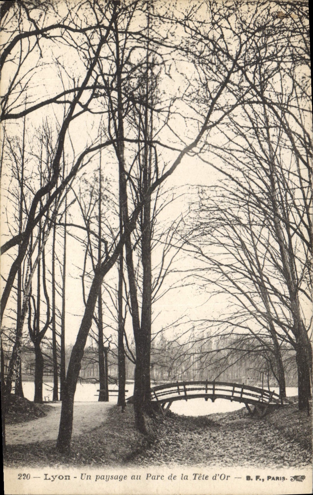 CPA Lyon Un Paysage au Parc de la Tete d'Or